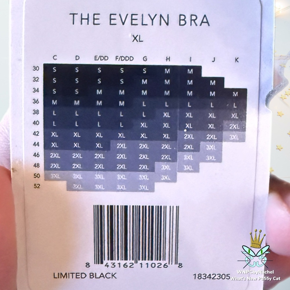 Evelyn & Bobbie Eyelet Detail Evelyn Bra, XL - Picture 6 of 8